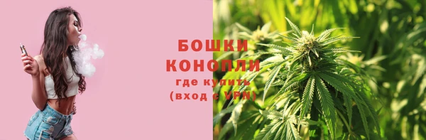 ПСИЛОЦИБИНОВЫЕ ГРИБЫ Абдулино