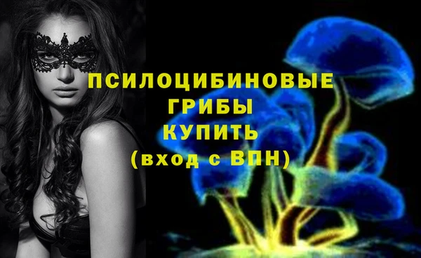 apvp Абинск